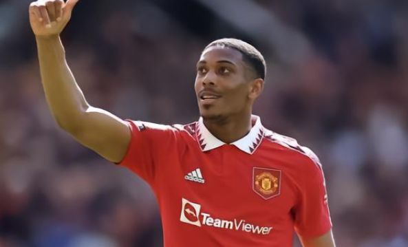 一只麒麟 一只麒麟